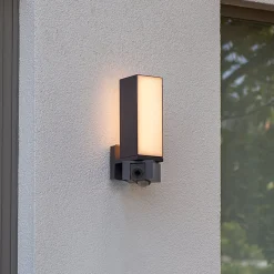 LED buitenwandlamp Cuba, camera sensor