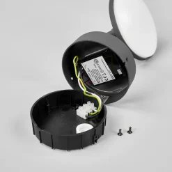 LED buitenwandlamp Finny met bewegingssensor