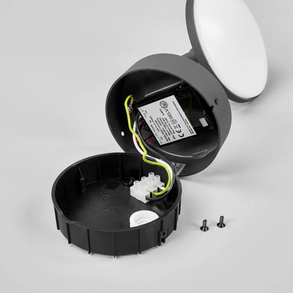 LED buitenwandlamp Finny met bewegingssensor