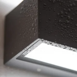 LED buitenwandlamp Gemini, 22cm, 3.000K, antraciet