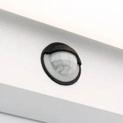 LED buitenwandlamp Ginger met sensor, wit, IP54