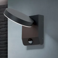 LED buitenwandlamp Hendryk met sensor, zwart