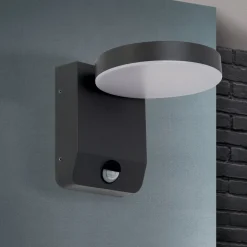 LED buitenwandlamp Hendryk met sensor, zwart