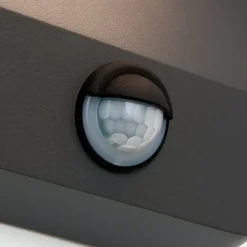 LED buitenwandlamp Hendryk met sensor, zwart