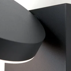 LED buitenwandlamp Hendryk met sensor, zwart