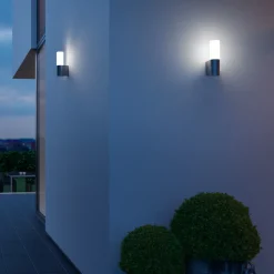 LED buitenwandlamp L 605 M, alu antraciet