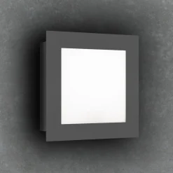 LED buitenwandlamp 3007LED, grafiet