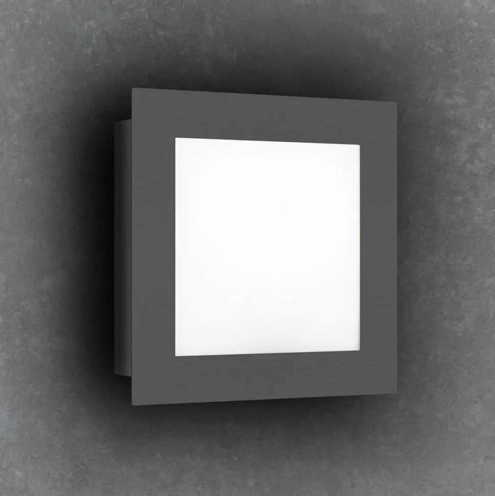 LED buitenwandlamp 3007LED, grafiet