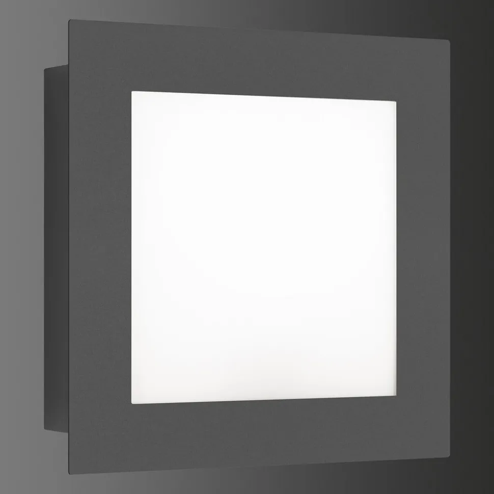 LED buitenwandlamp 3007LED, grafiet