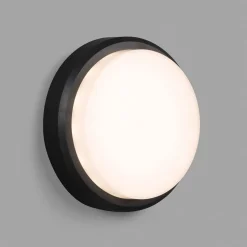 LED buitenwandlamp Tom XL, IK10, donkergrijs/wit