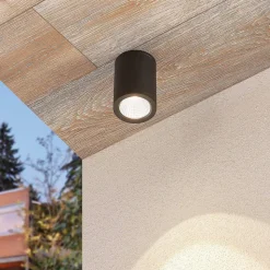 LED downlight Embla van aluminium IP54, grijs