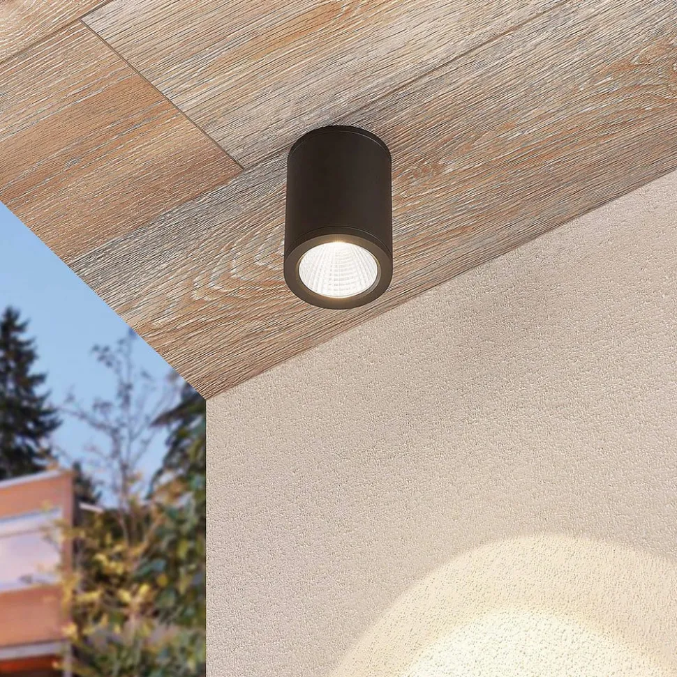 LED downlight Embla van aluminium IP54, grijs