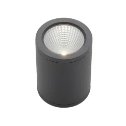 LED downlight Embla van aluminium IP54, grijs