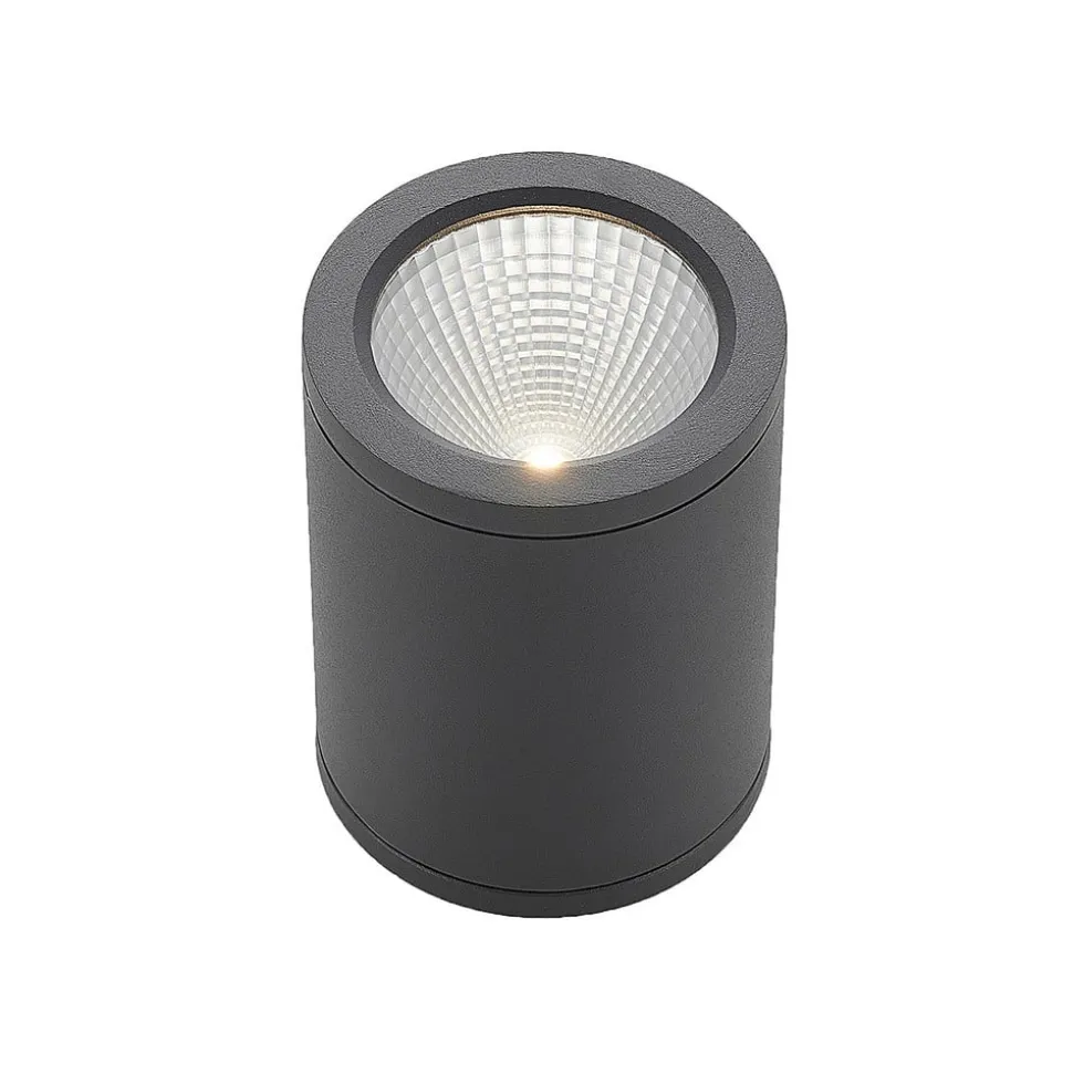 LED downlight Embla van aluminium IP54, grijs