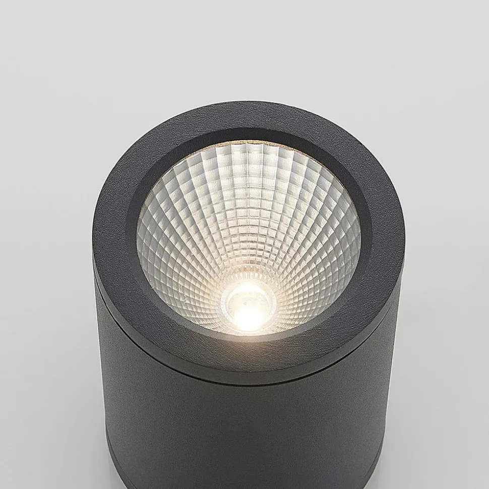 LED downlight Embla van aluminium IP54, grijs