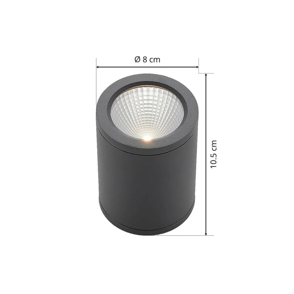 LED downlight Embla van aluminium IP54, grijs