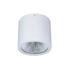 LED downlight opbouw Button Mini 200 IP54 55° 24 W