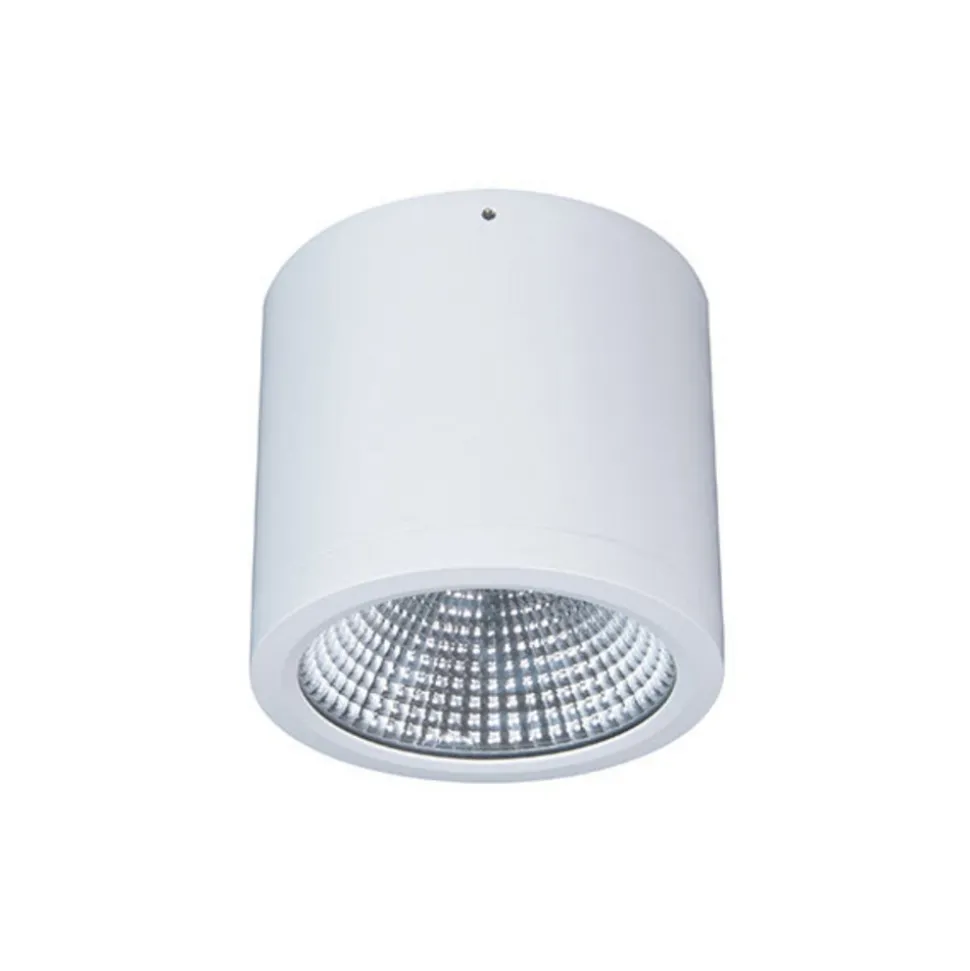 LED downlight opbouw Button Mini 200 IP54 55° 24 W