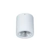 LED downlight opbouw Button Mini 100 IP54 55° 16 W