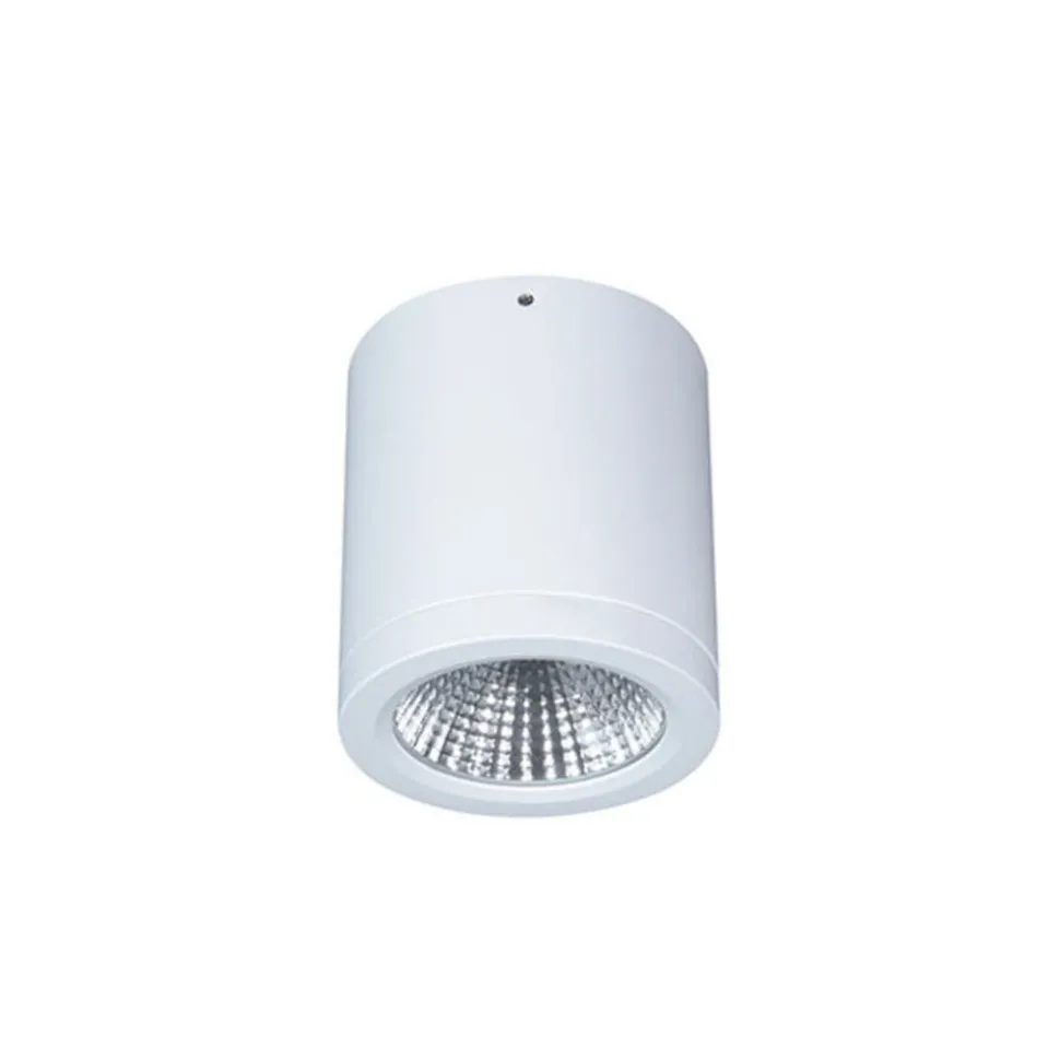 LED downlight opbouw Button Mini 100 IP54 55° 16 W