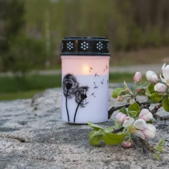 LED graflicht Paardenbloem, 12 cm wit/zwart kunststof batterij