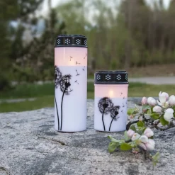 LED graflicht Paardenbloem, 12 cm wit/zwart kunststof batterij