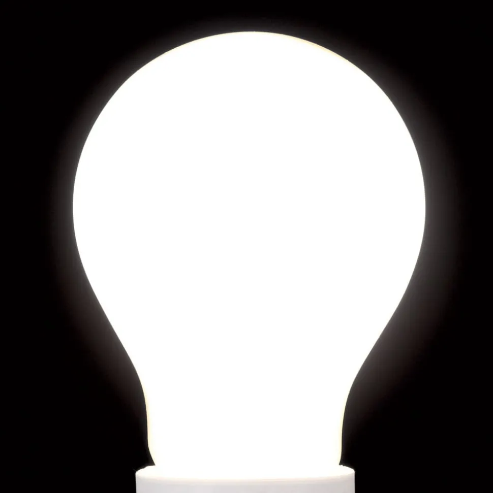 LED lamp E27 A60 mat 15W 827 2000lm dimbaar