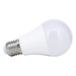 LED lamp E27 A60 5W 500 lm 2.700 K, opaal