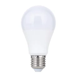LED lamp E27 A60 5W 500 lm 2.700 K, opaal