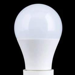 LED lamp E27 A60 5W 500 lm 2.700 K, opaal