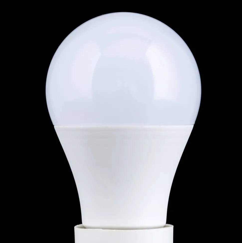 LED lamp E27 A60 5W 500 lm 2.700 K, opaal
