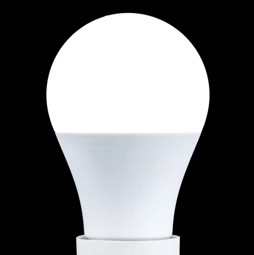 LED lamp E27 A60 5W 500 lm 2.700 K, opaal