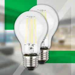 LED lamp E27 4W helder 3000K 840 lm EEK A 2er