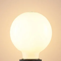 LED lamp E27 8W 2.700K G95 bol dimbaar opaal per 2