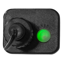 LED lichtketting Berry Mini met timerfunctie wit