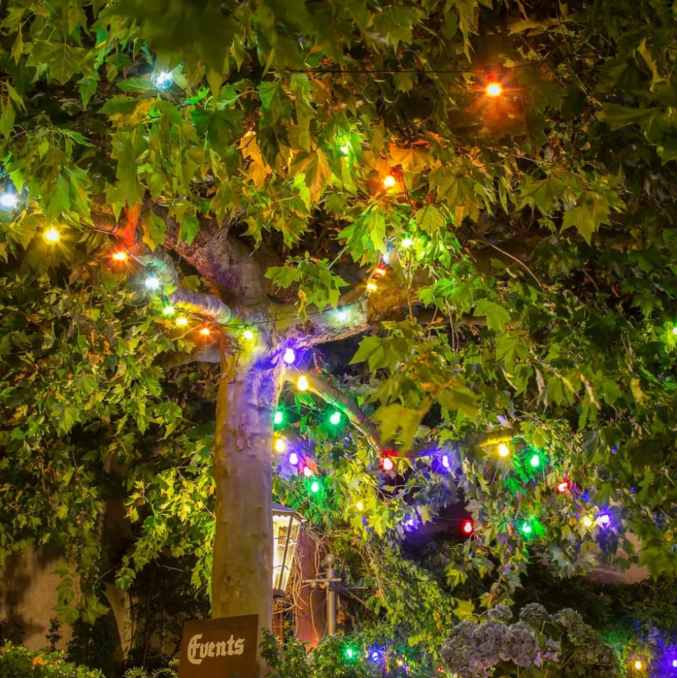 LED lichtketting biergarten uitbreiding, kleurrijk