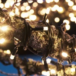 LED lichtketting Extra 100 LED's 2.850K