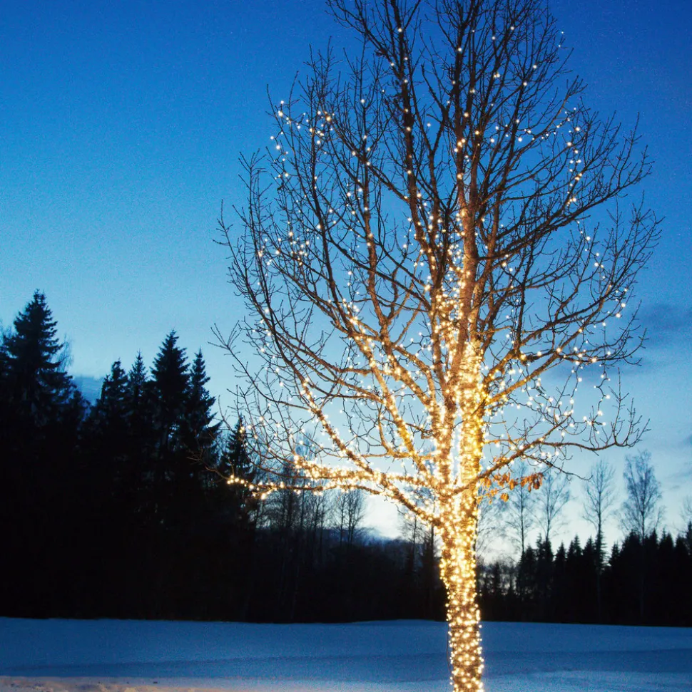 LED lichtketting Extra 100 LED's 2.850K