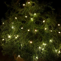 LED lichtketting Knirke voor buiten, 40 lampjes