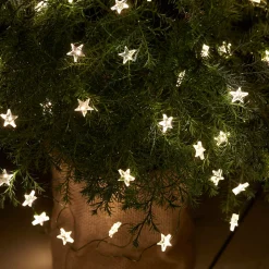 LED lichtketting Trill, 40 lampjes, groene kabel