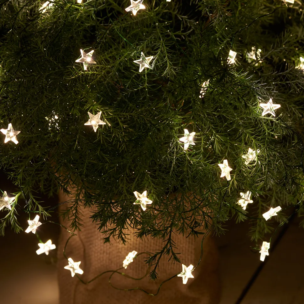 LED lichtketting Trill, 40 lampjes, groene kabel