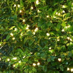 LED lichtketting voor buiten, 200 lampjes.