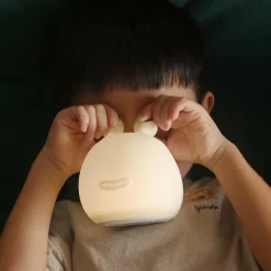 LED nachtlamp Momo Moon met accu en USB