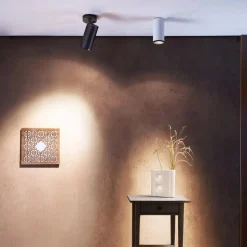 LED opbouwdownlight Lucea 20 W wit