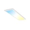 LED paneel Piatto CCT afstandsbediening 100x25 wit
