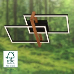 LED plafondlamp 3776015 2-lamps met hout