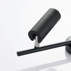 LED plafondlamp Camille, zwart, twee lampjes