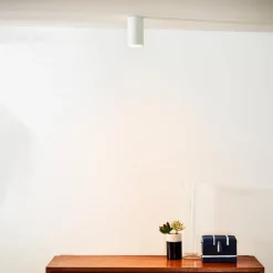 LED plafondlamp Delto dimbaar tot warm, rond, wit