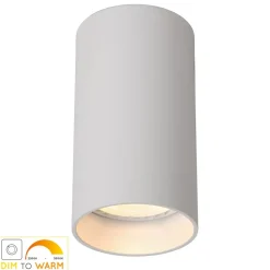 LED plafondlamp Delto dimbaar tot warm, rond, wit