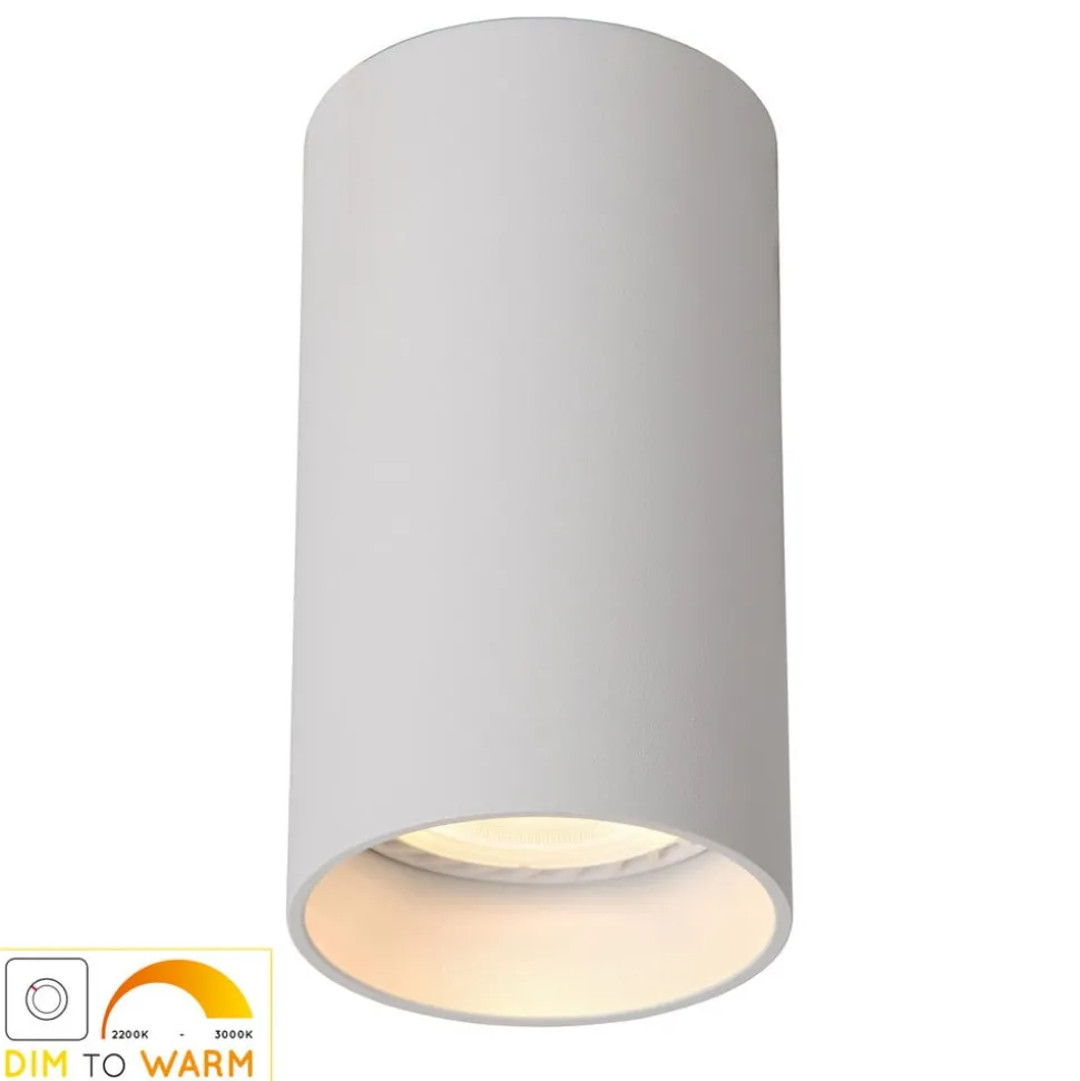 LED plafondlamp Delto dimbaar tot warm, rond, wit